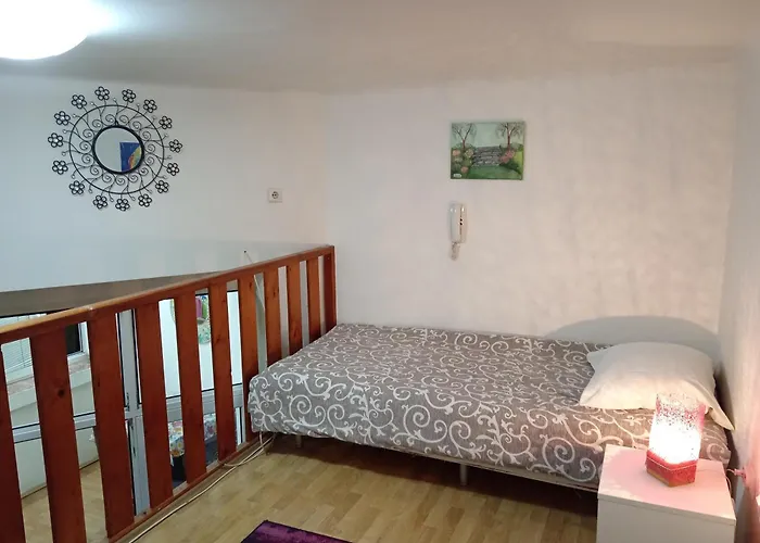 Kiwi Apartment