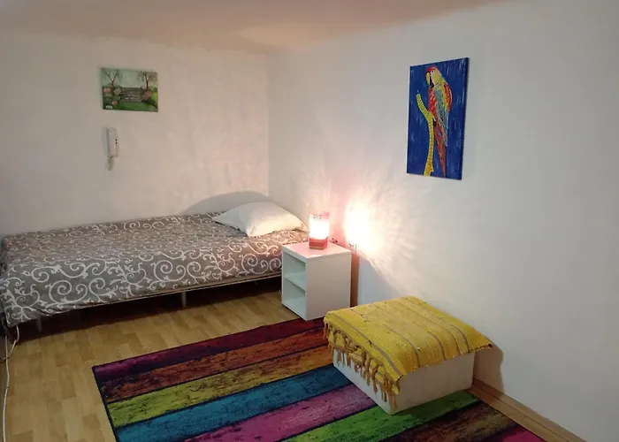 Kiwi Apartment